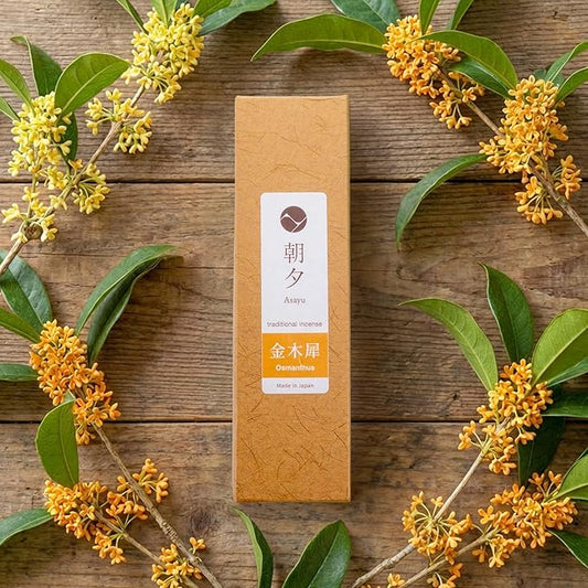 From Stick to Cone: A Whimsical Journey Through Incense Shapes